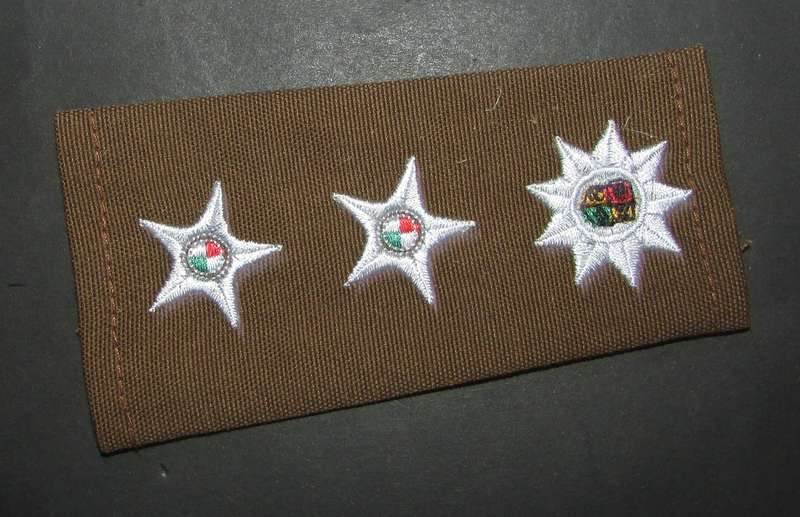 SANDF - Slip on Rank