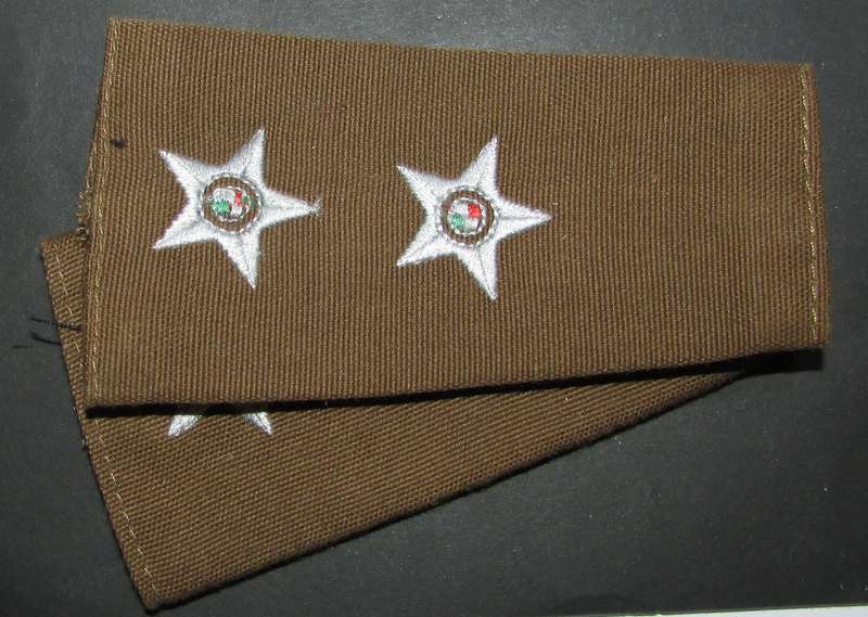 SANDF - Lieutenant Slip on Ranks