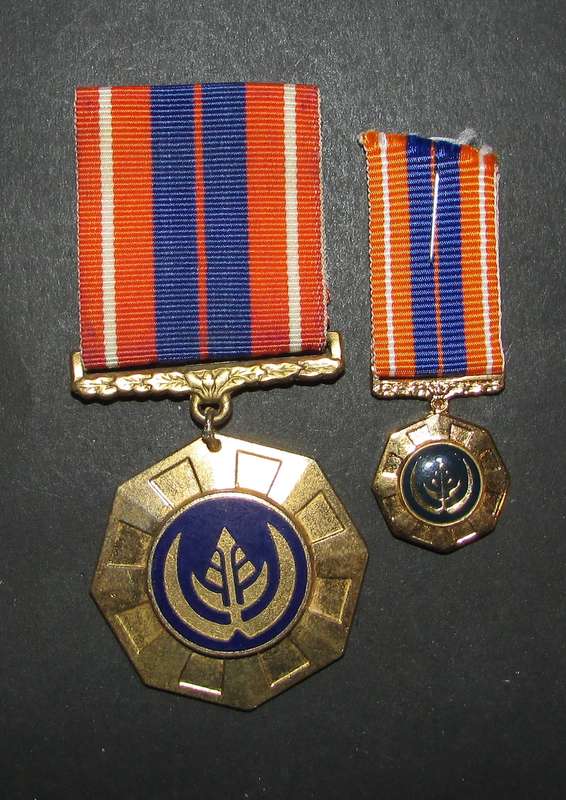 SADF - Full Size Pro Patria with Miniature