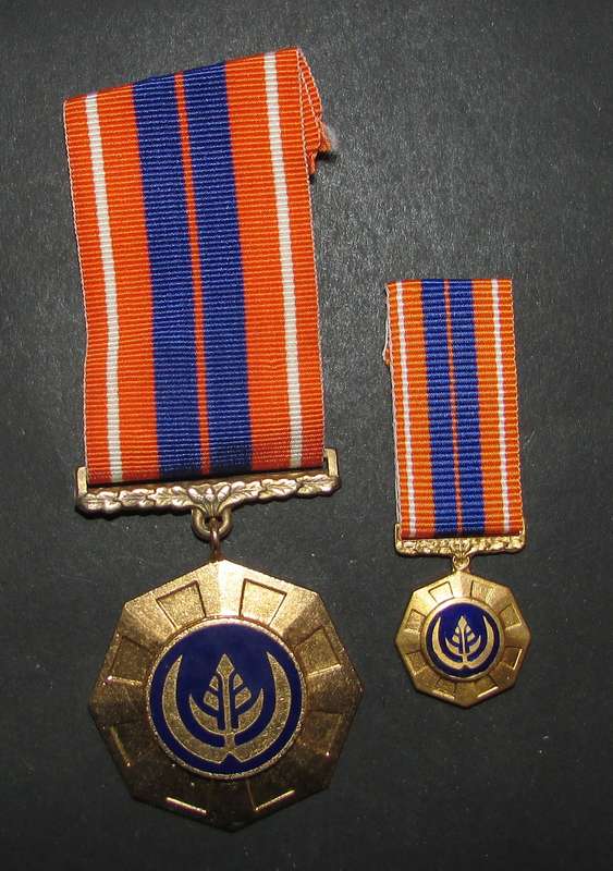 SADF - Full Size Pro Patria with Miniature