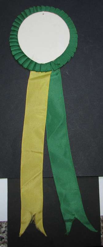Vintage Springbok Rugby Award Ribbon