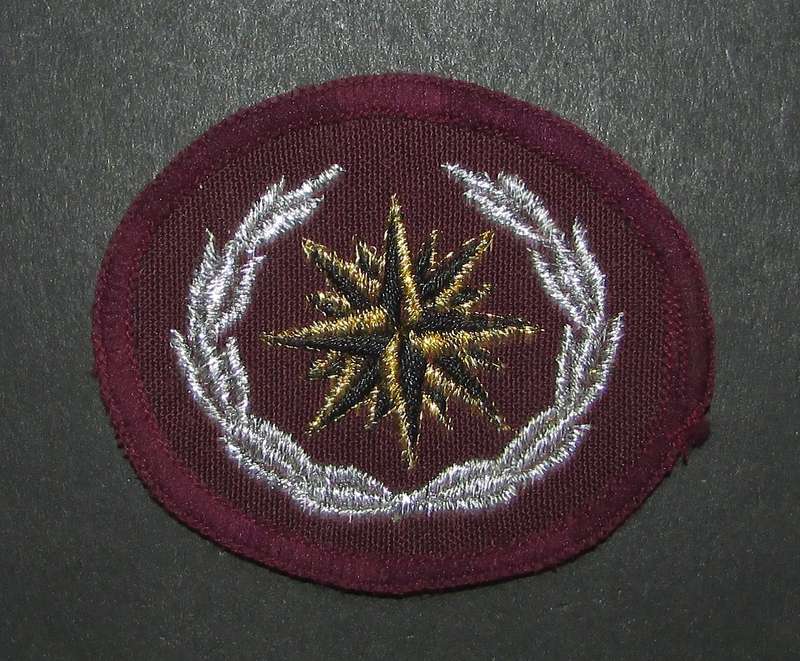 SADF - Special Forces Beret Badge