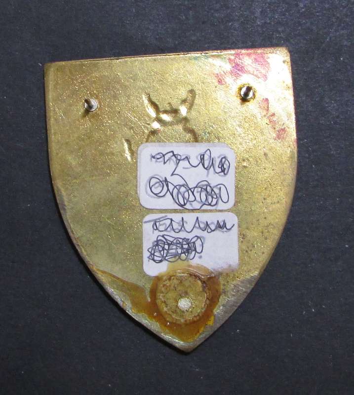 SADF - 81 Construction Shoulder Flash