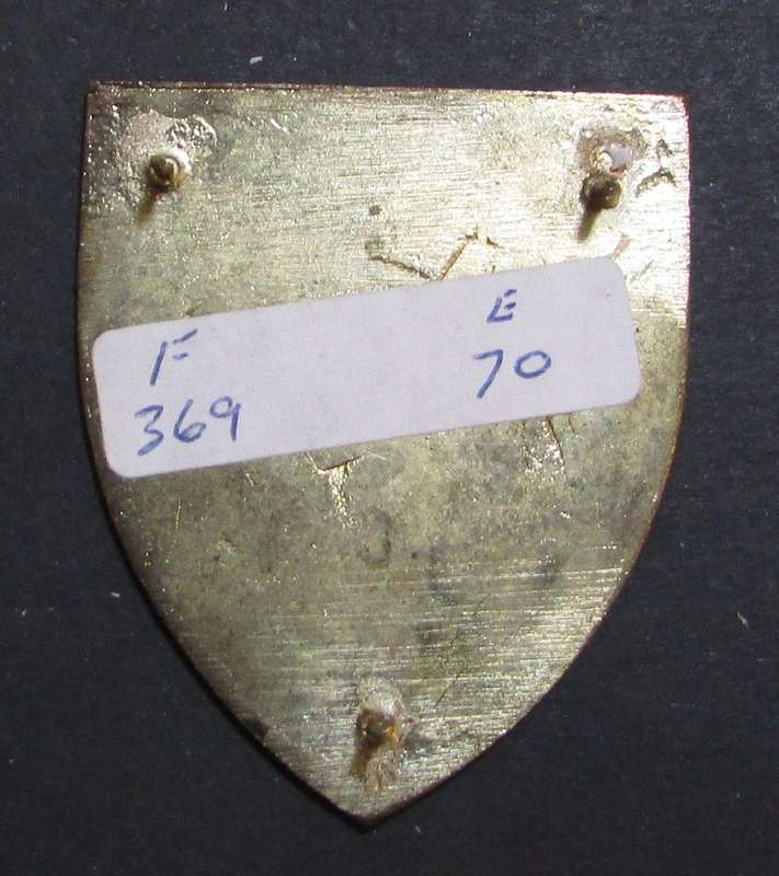 SADF - EP Command Provost Shoulder Flash