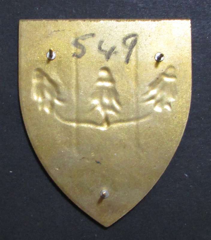 SADF - Far North Command Provost Shoulder Flash