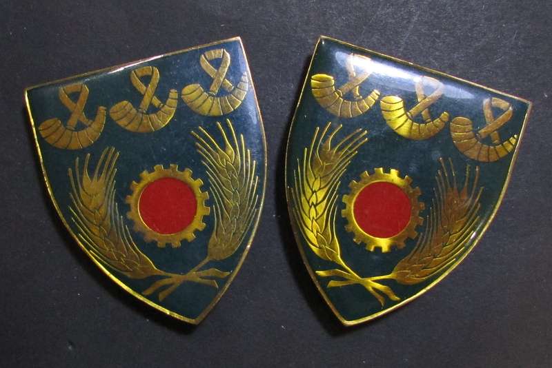 SADF - OFS Maintenance Shoulder Flash Pair