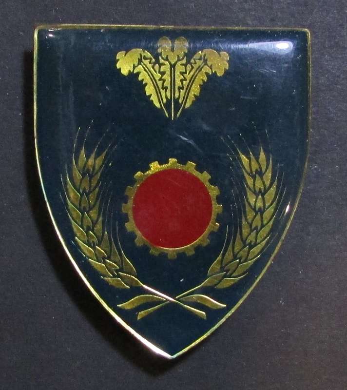 SADF - S/Cape Maintenance Shoulder Flash