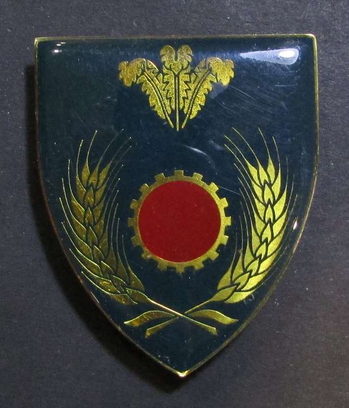 SADF - S/Cape Maintenance Shoulder Flash