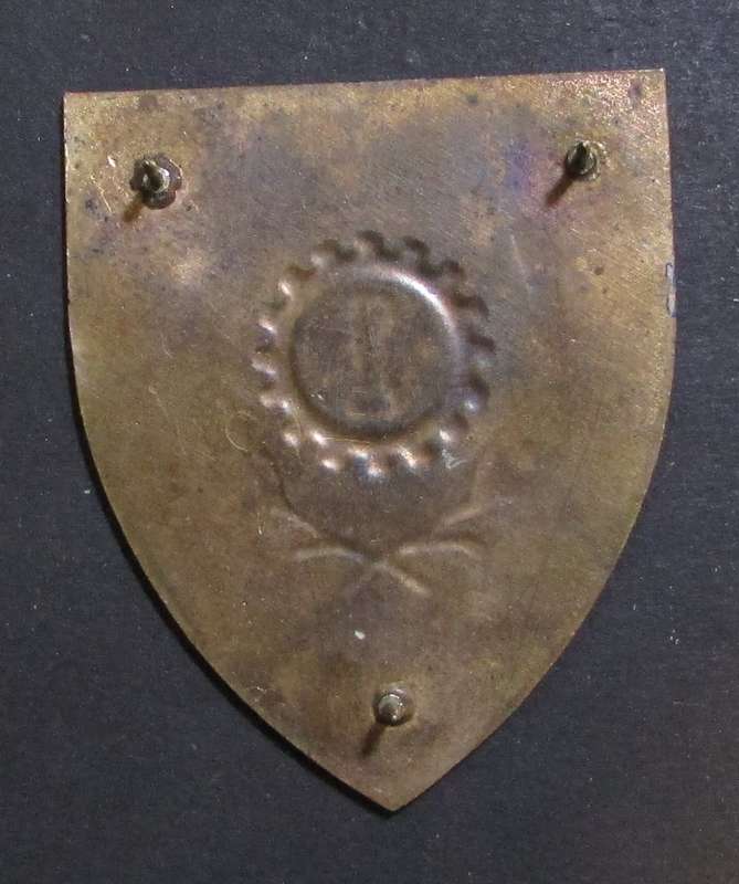 SADF - 1 Mainetance Shoulder Flash