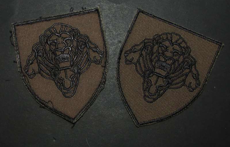 SANDF - Shoulder Flash Pair