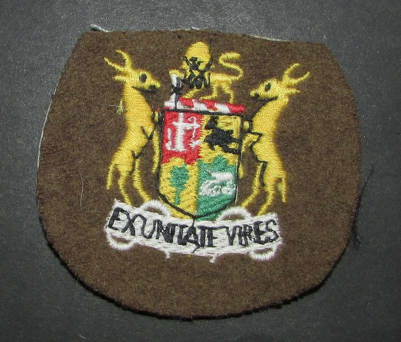SADF - Army W/O Officer Rank