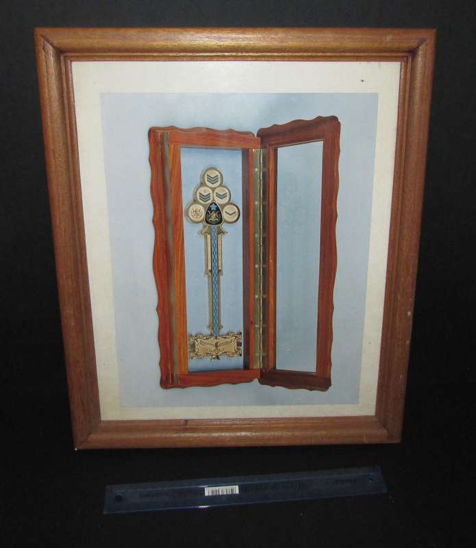 SADF - SAAF Air Force Collectable Frame