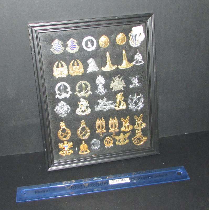 SADF - Collection of Framed Badges - With Pins/Lugs