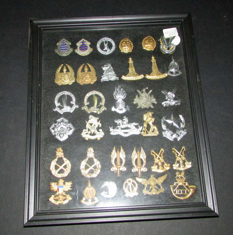 SADF - Collection of Framed Badges - With Pins/Lugs