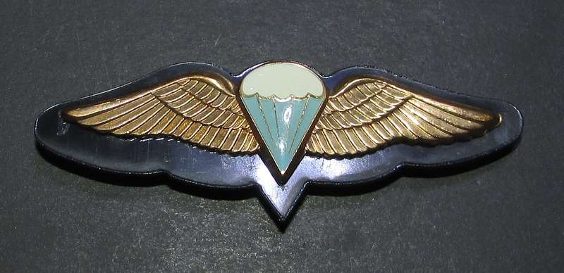 SADF - Basic Parachute Wing