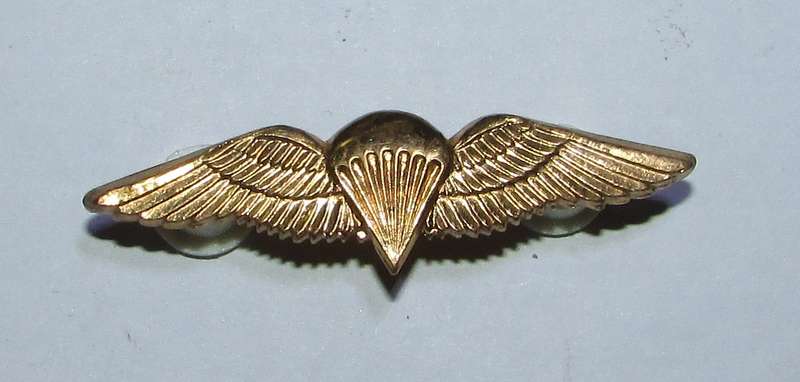 SADF - Basic Parachute Wing ( Mess Dress )
