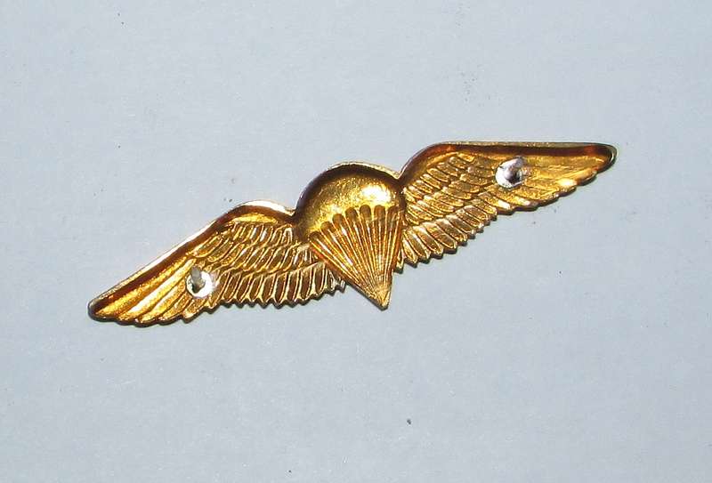 SADF - Basic Parachute Wing ( Mess Dress )