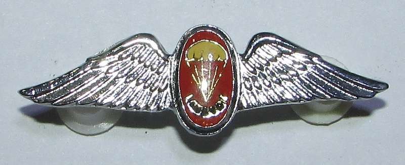 SADF - Instructor Parachute Wing ( Mess Dress )