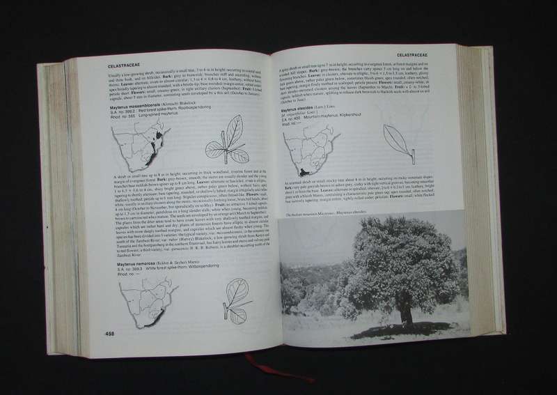 Trees of Southern Africa by Keith Coates Palgrave