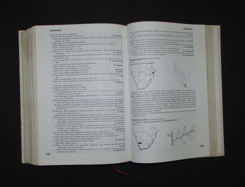 Trees of Southern Africa by Keith Coates Palgrave