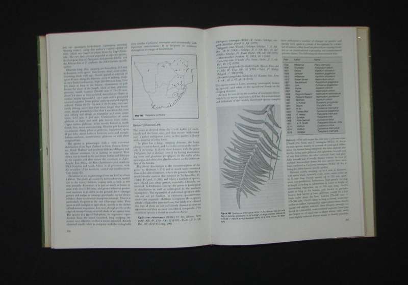 The Ferns and Fern Allies of Southern Africa -- W.B.G. Jacobsen