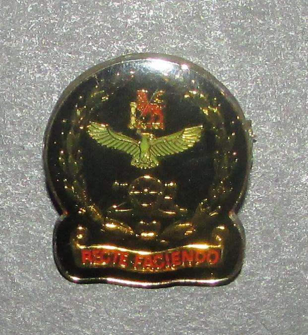 SADF - SAAF Pin Badge