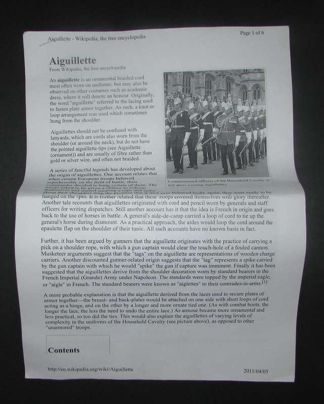 Special Piece - South African Prison Services Aiguilette worn by Lieutenant JV Schoeman