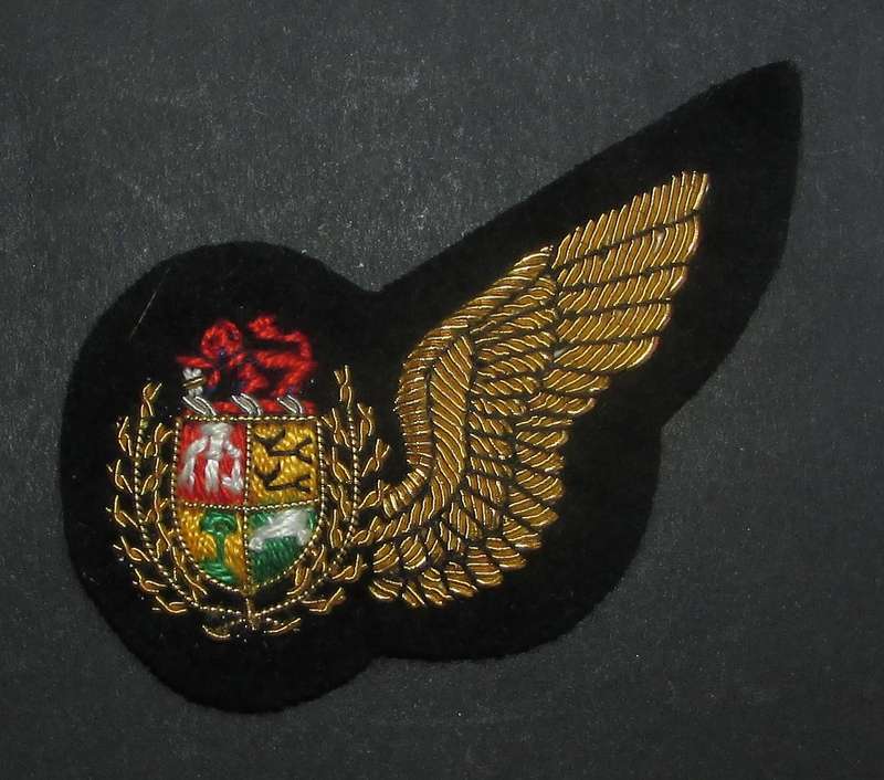 SADF - Air Force Bullion Wire Oberserver Wing
