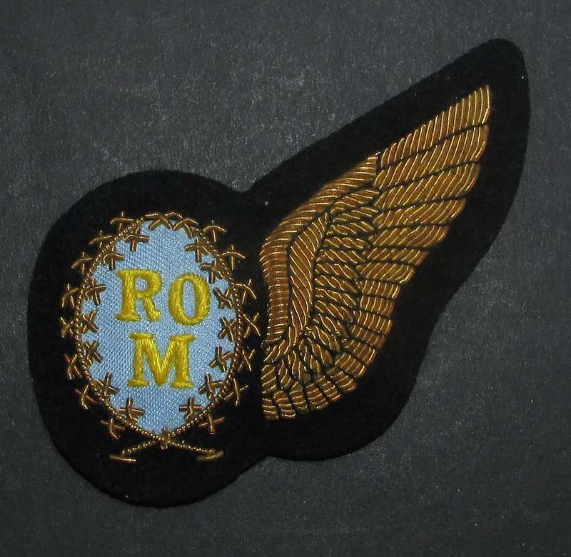 SADF - Air Force Bullion Wire Wing