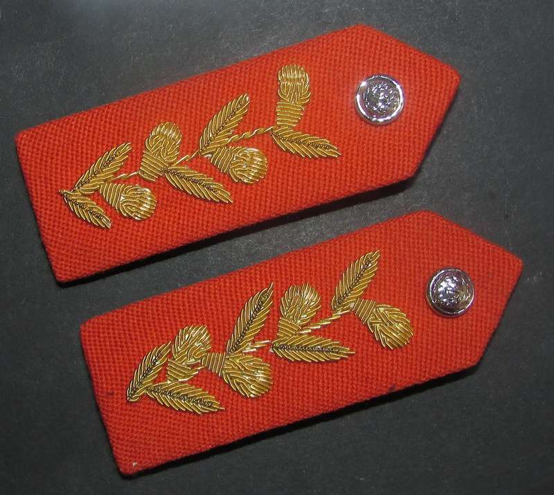 SADF - Army Generals Gorgets