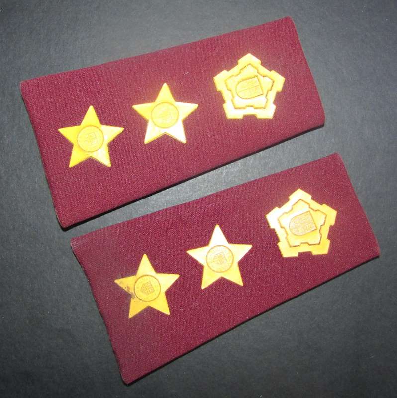 SADF - Medical Services Colonel Rank Pair