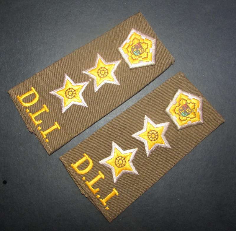 SADF - Durban Light Infantry Slip on Rank Pair