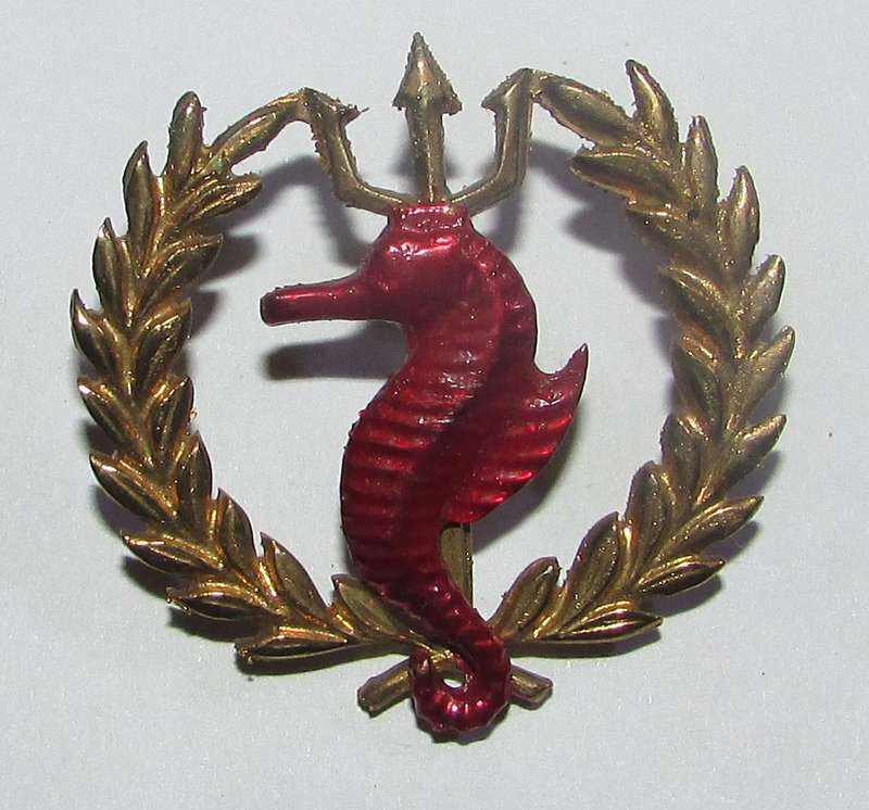 SADF - Navy Navy Independent Ships and Air/Sea Rescue Flotilla Breast Badge ( See Colors )