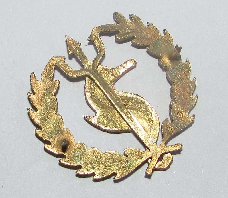 SADF - Navy Navy Independent Ships and Air/Sea Rescue Flotilla Breast Badge ( See Colors )