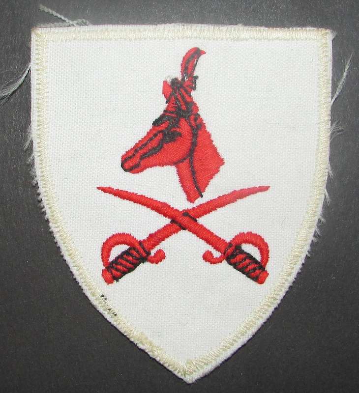 SADF - Advanced PTI Instructor Breast Badge