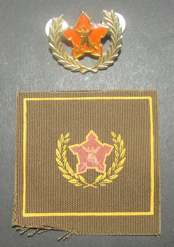 SADF - Army 5 Year Voluntary Service Breast Badge Set