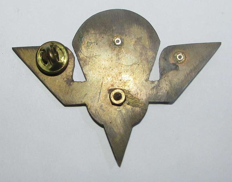 Full Size Renamo ( Mocambique ) Parachute Wing