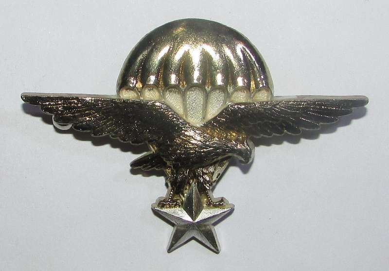 International - Djibouti Parachute Wing Badge Drago Paris CT