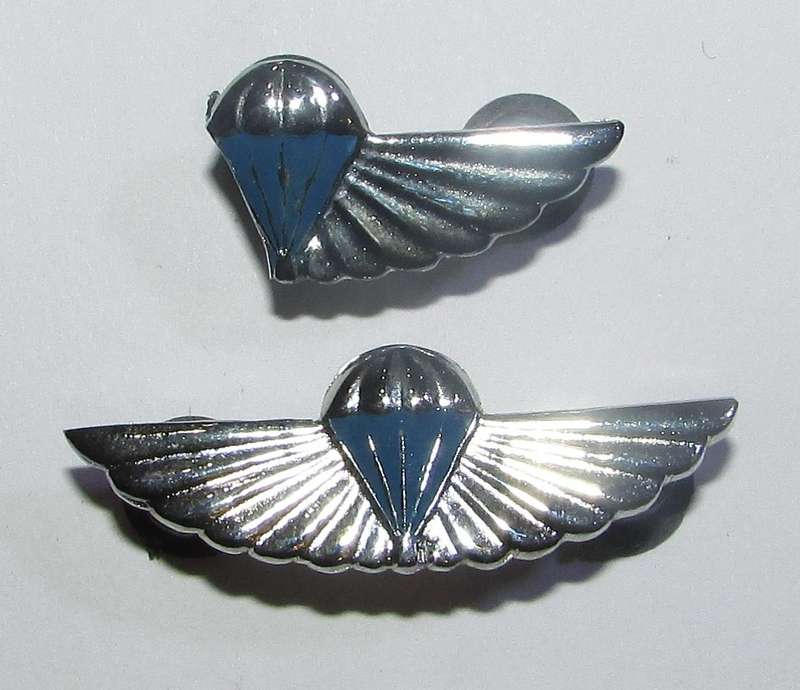 SADF - Air Supply Mess Dress Wings ( You dont see these often )