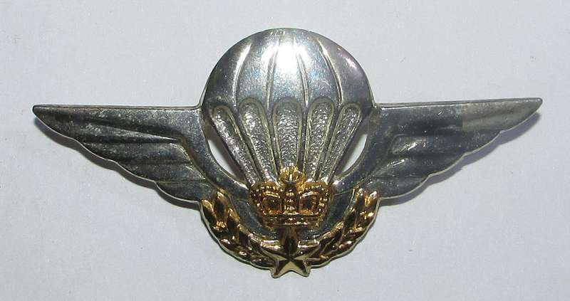 International - Morocco Africa Post WWII Airborne Jump Wings Parachute Badge French Made