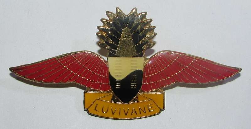 International - Swaziland Parachute Wing