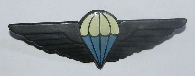 Homelands - Ciskei Defence Force Full Size Wing