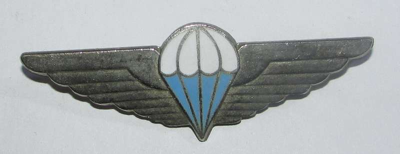 Homelands - Ciskei Defence Force Full Size Wing