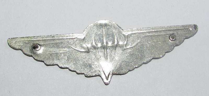 Homelands - Ciskei Defence Force Full Size Wing