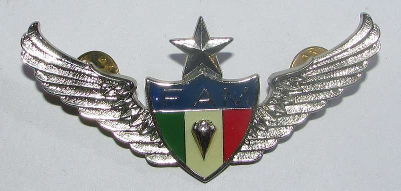 Internationa - MEXICO PARACHUTE BADGE, MASTER