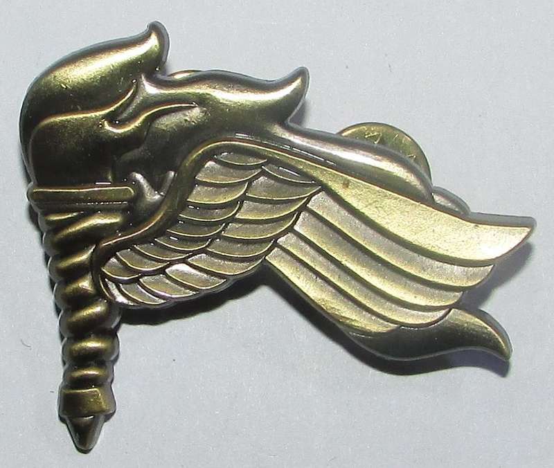 International - US Pathfinder Badge