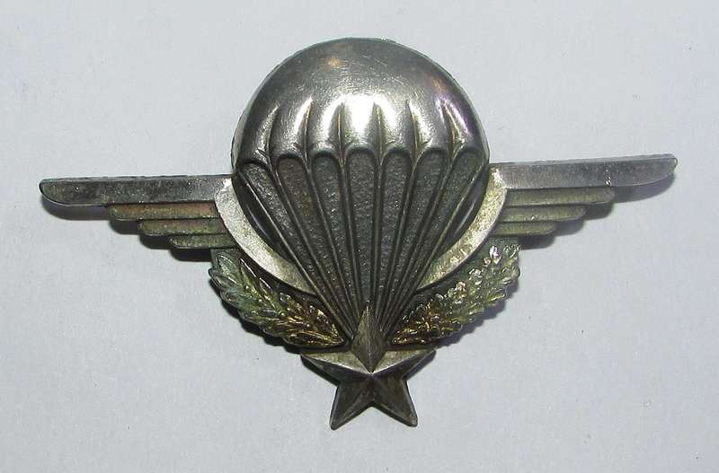 International - French Foreign Legion Para Wings
