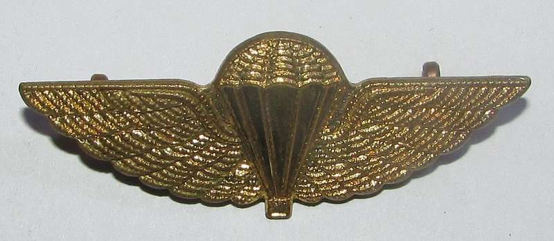 International - British Army, SAS, Special Air Service HALO Parachute Wings