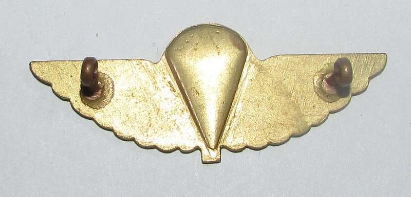 International - British Army, SAS, Special Air Service HALO Parachute Wings