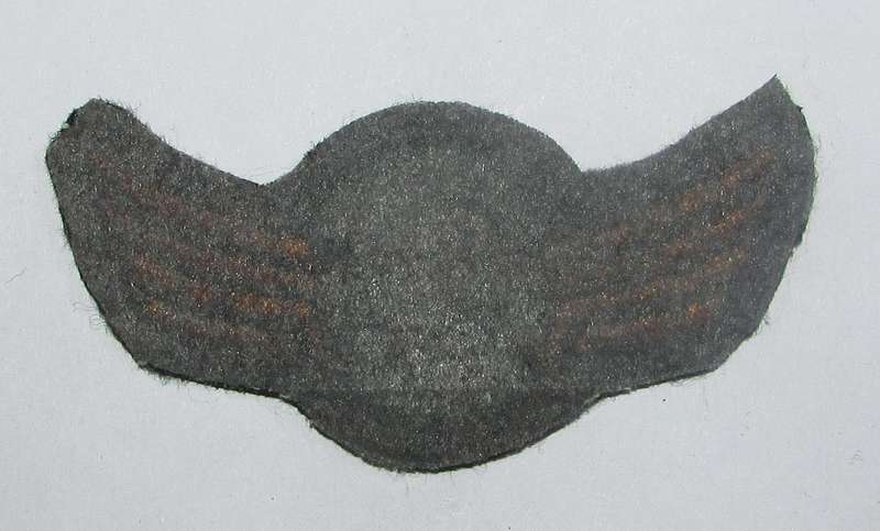 Homelands - Bophuthatswana Army Parachute Wings